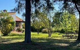 Quinta dos Trevos - Artes e Ofícios